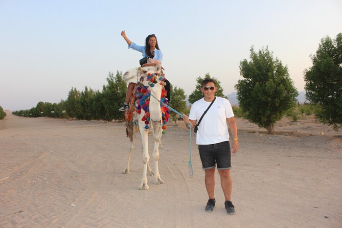 1 Hour horse Ride and Jeep adventure with stargazing -Hurghada - Price and value around $50: what you get for your money