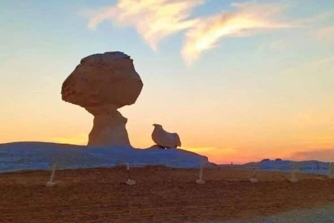 2 Days Camping Trip in the White Desert of Cairo - What parts of the day are best for you, and which aren’t