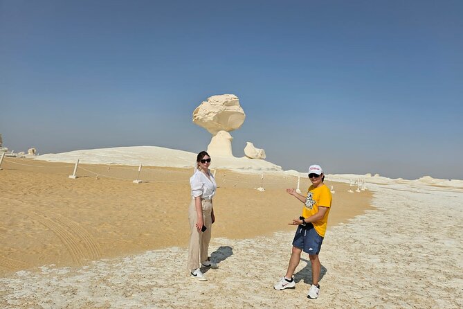 2 Days White Desert And Bahariya Oasis Tour - Price and logistics: what you pay for, and why it adds up