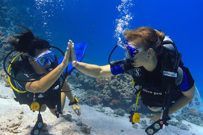 2-Dive adventure-Safe & Top-rated boat for Certified Divers - Hurghada Red Sea Day Trip: Two Underwater Sessions from 8:00