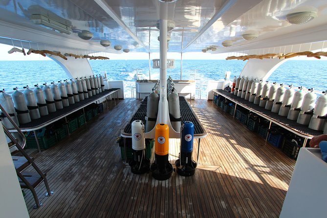 2-Dive adventure-Safe & Top-rated boat for Certified Divers - The Full Itinerary Timeline, and What Each Stop Really Gives You