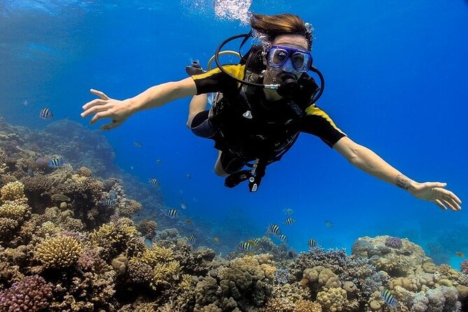2 Dive Stops Intro Scuba Diving With Lunch & Transfer - Hurghada - Key details that matter before you go