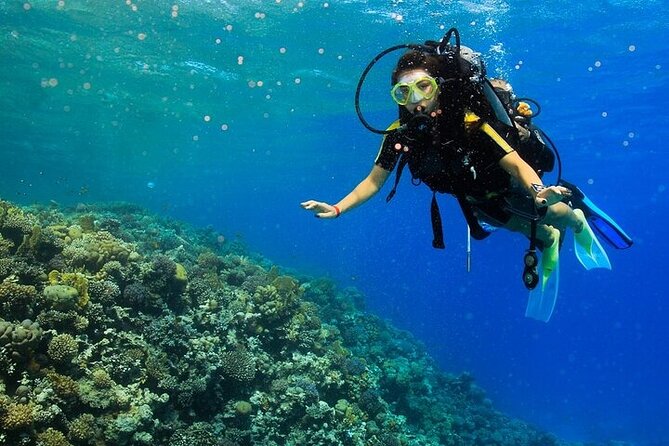 2 Dive Stops Intro Scuba Diving With Lunch & Transfer - Hurghada - Stop One: Your First Underwater Session and Confidence Building
