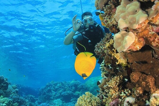 2 Dive Stops Intro Scuba Diving With Lunch & Transfer - Hurghada - Lunch On Board: The Midday Reset That Makes the Second Stop Better