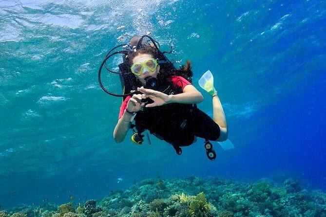 2 Dive Stops Intro Scuba Diving With Lunch & Transfer - Hurghada - Stop Two: A Picture-Perfect Reef Area Like Abu Ramada (When It’s On Your Route)