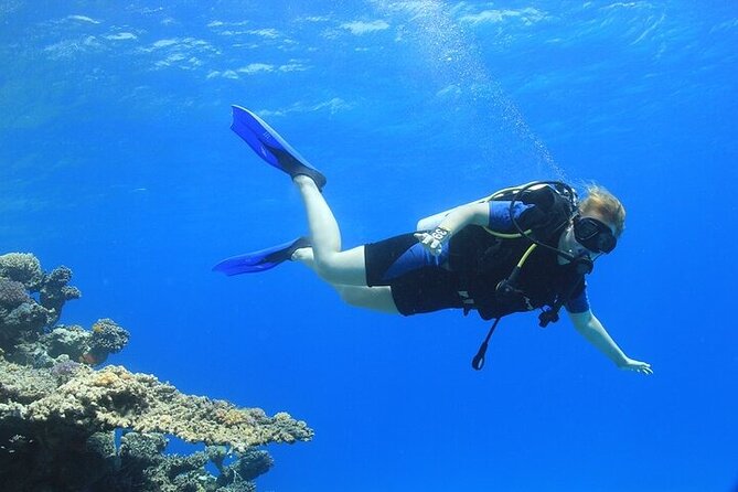 2 Dive Stops Intro Scuba Diving With Lunch & Transfer - Hurghada - The Team: Ahmed and Abdu, and Why Their Role Matters