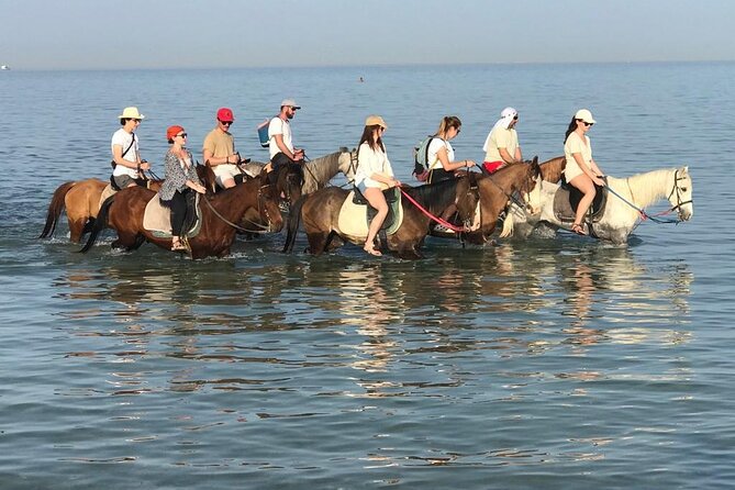 2 hours Horse Riding on The Sea and Desert- Hurghada - Key Things to Know Before You Go