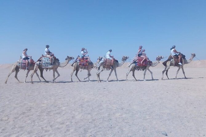 2 hours Horse Riding on The Sea and Desert- Hurghada - What the Sea-and-Desert Ride Feels Like in Hurghada