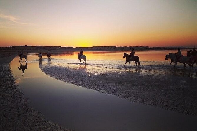 2 hours Horse Riding on The Sea and Desert- Hurghada - The Desert Part: More Than Just a Warm-Up Walk