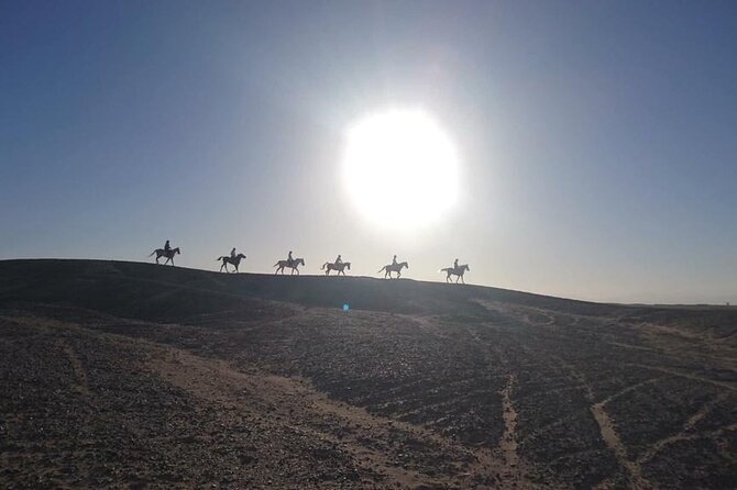 2 hours Horse Riding on The Sea and Desert- Hurghada - The Best Moment: Riding in the Shallow Red Sea