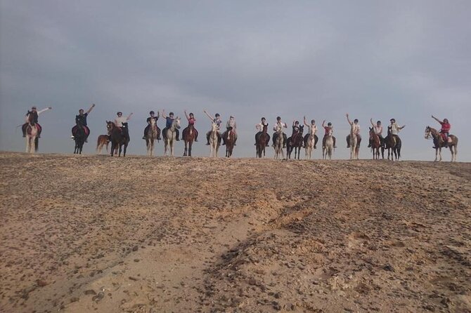 2 hours Horse Riding on The Sea and Desert- Hurghada - Horses and Animal Care: What You’ll Want to Consider