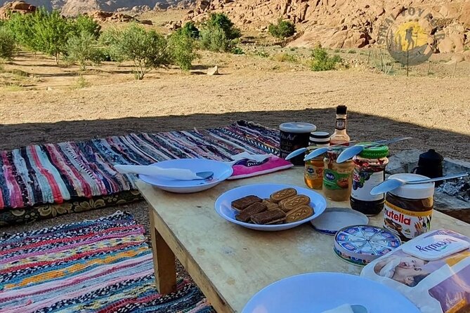 3 Days Hike Experience in Sinai Heights on Old Trails - Bedouin Gardens, Plants, and Herbal Stories You Can’t Look Up on Google
