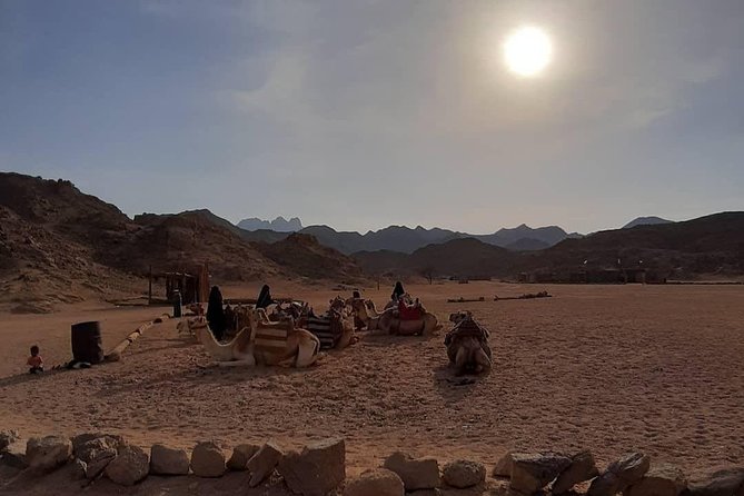 3 Hours Safari by Quad Bike - Hurghada - Before You Ride: Training, Test Drive, and How the Day Starts