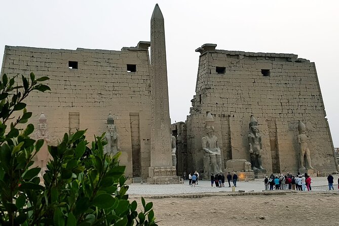 5 Days Nile Cruise From Luxor To Aswan Including Hot Air Balloon & Abu Simbel - Day 5: Abu Simbel at 4:30 AM, the long day you’ll be glad you chose