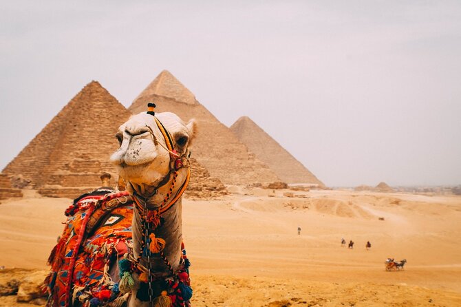6 Hour Private Tour in Giza Pyramids, Citadel and Coptic Cairo - Giza plateau highlights: pyramids, Sphinx, and the Valley Temple loop