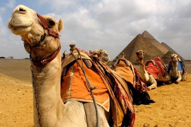 6 Hours visit to Giza pyramids sphinx and Sakkara - Value for $20, Plus What Costs Extra