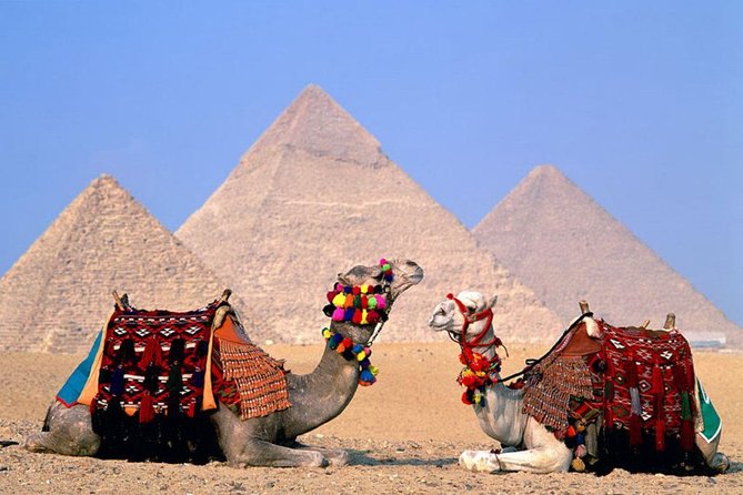 8-Day Private Tour Cairo, Aswan, Luxor and Nile Cruise Including Air Fare - Giza Pyramids, Sphinx, and the Egyptian Museum Without the Guesswork