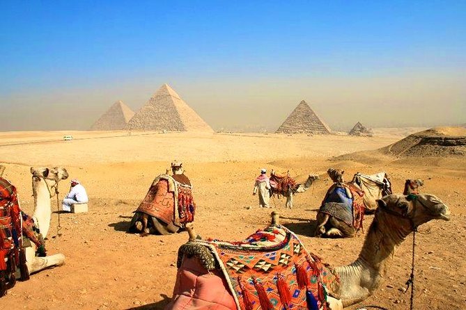 8 Day Stunning Cairo Pyramids and Nile cruise and Hurghada All inclusive - Entering Cairo Without the Usual Hassle