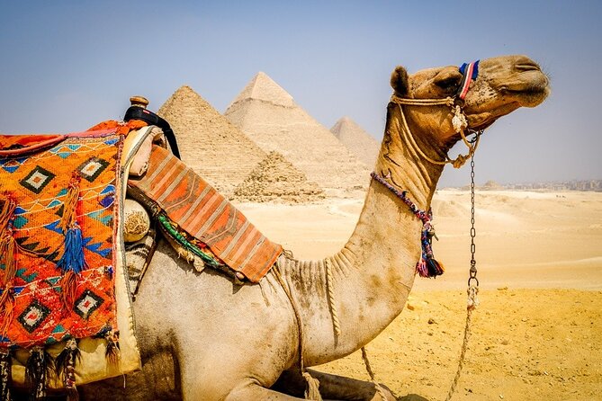 All INC- Pyramids,Camel Ride،(1 hour) four wheeler (ATV)& Lunch - Lunch at a Local Restaurant: A Real Break, With One Catch
