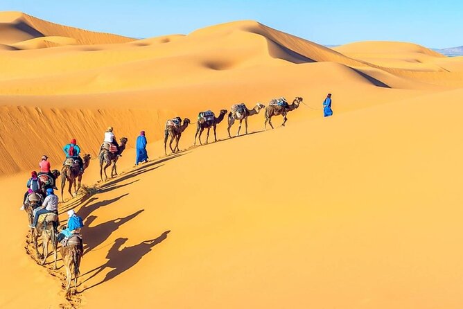 All Inclusive Day Tour To Cairo from Alexandria Port - Giza Pyramids and Valley Temple: Timing, expectations, and the best way to see it