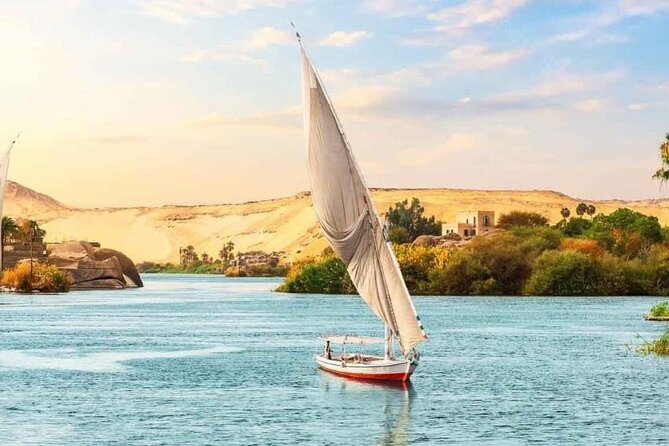 All Inclusive Day Tour To Cairo from Alexandria Port - The Great Sphinx close-up: what to notice in 30 minutes