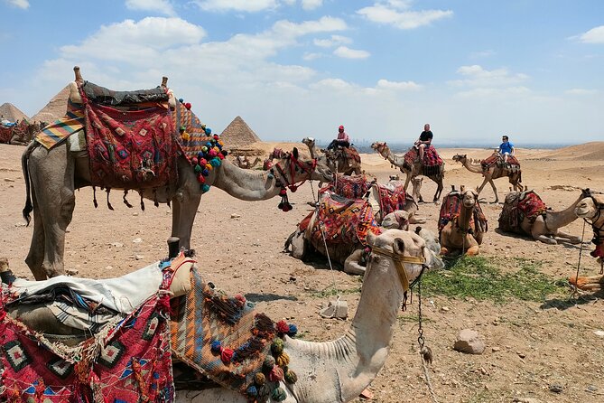 All inclusive Giza Pyramids ,Sphinx ,Lunch ,Camel&Inside pyramid - Private Egyptology Guide at Giza, and Why That Changes Everything