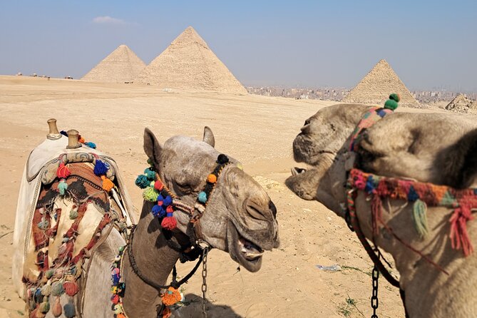 All-inclusive Saqqara, Giza pyramids,lunch,fees,30 min camel ride - Key Points That Matter Before You Go