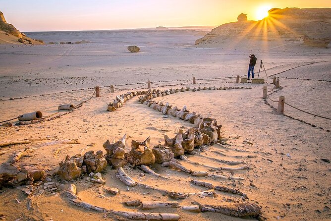 Allinclusive Private Tour Fayoum Oasis & Valley of Wales - Why Fayoum Feels Like a Different Egypt