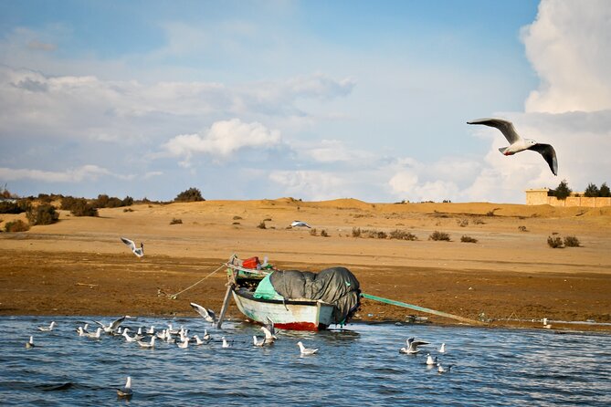 Allinclusive Private Tour Fayoum Oasis & Valley of Wales - Wadi El-Rayan: Magic Lake, falls access, and the lake boat ride