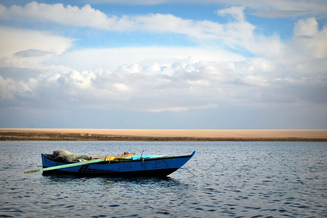 Allinclusive Private Tour Fayoum Oasis & Valley of Wales - 4x4 dunes and sandboarding: the desert’s version of snow