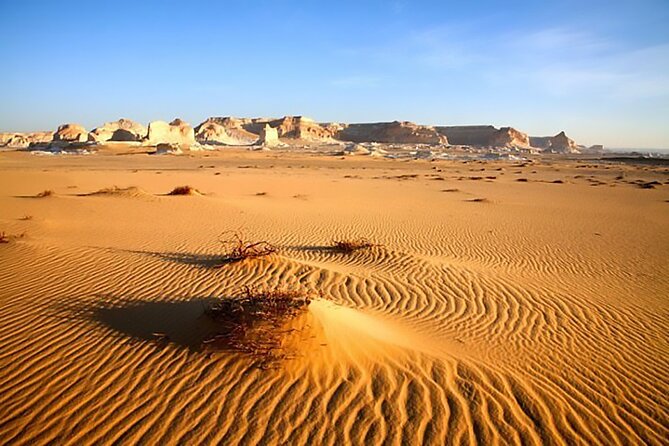 Allinclusive Private Tour Fayoum Oasis & Valley of Wales - Lunch at the lake: what’s included, what to budget for