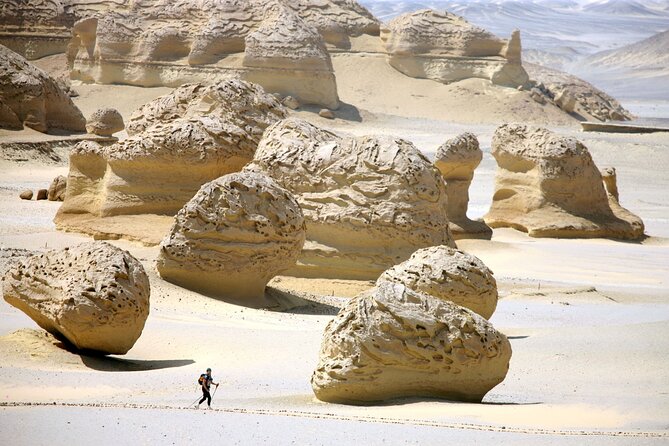Allinclusive Private Tour Fayoum Oasis & Valley of Wales - Price and what $88 buys you in a full day