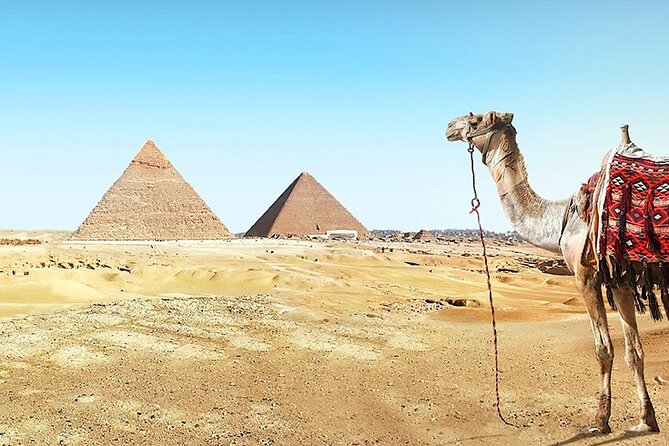 Allinclusive Private tour Giza Pyramids Sphinx Sakkara& Memphis - Camel rides, lunch, and the small breaks that keep you sane