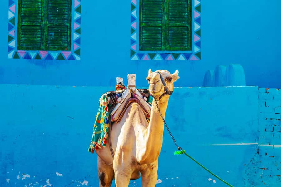 Aswan: Nubian Village Day Trip with Camel Ride - Entering the Nubian Village, with Aswan convenience built in