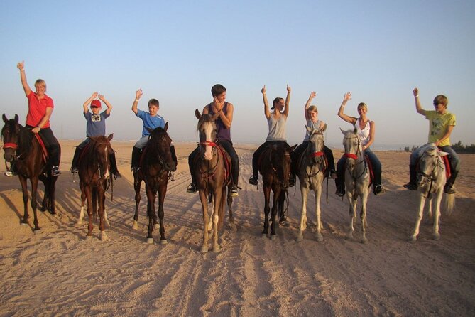 ATV horse stargazing - Key things to know before you go