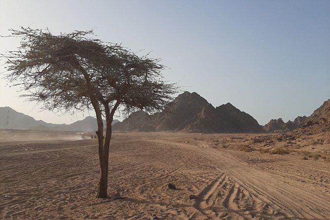 ATV horse stargazing - Who This Safari Fits Best (and Who Might Want a Different Option)
