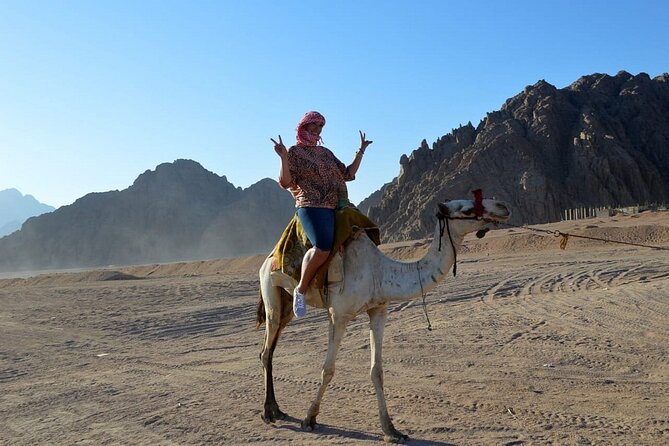 ATV Quad bike Adventure Desert Safari Tour In Sharm El Sheikh - Price and What You’ll Really Spend in Sharm el Sheikh