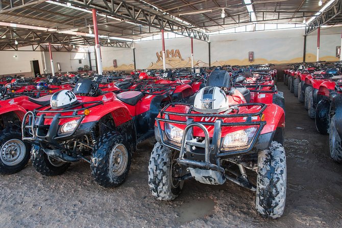 ATV Quad Bike Ride Safari and Camel Ride With Transfer - Hurghada - Why this Hurghada quad and camel ride works in 3 hours
