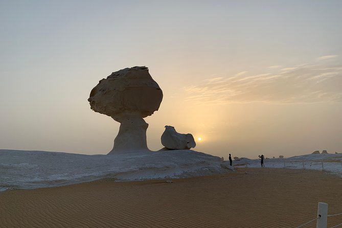 Black and White Desert Tour 2 Days 1 Night - Price and Logistics: What You Pay, What You Still Need