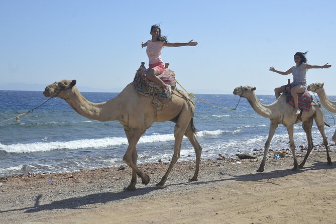 Blue Hole and Dahab City from Sharm El Sheikh - Bedouin tea and the desert lessons you can’t read in a book