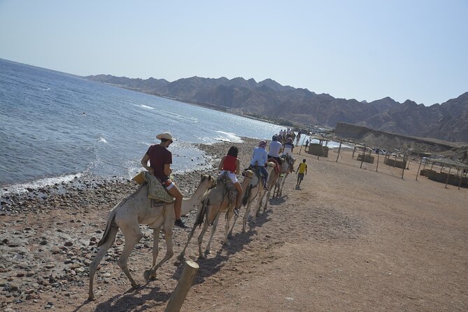 Blue Hole and Dahab City from Sharm El Sheikh - Price and value: how to think about the $15 base fare
