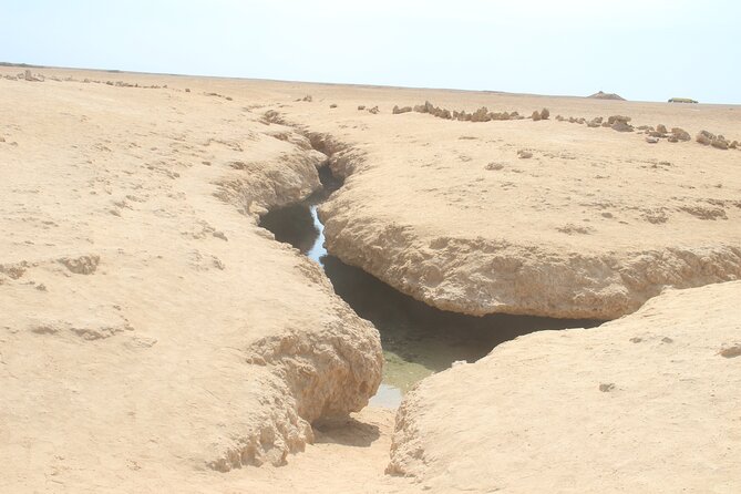 Bus Tour to Ras Mohamed from Sharm El Sheikh - Mangroves, the earthquake crack, and the park’s science-y surprises