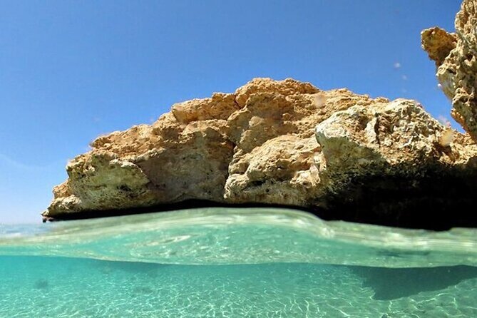 Bus Tour to Ras Mohamed from Sharm El Sheikh - The 8:00 am start: timing, comfort, and group size
