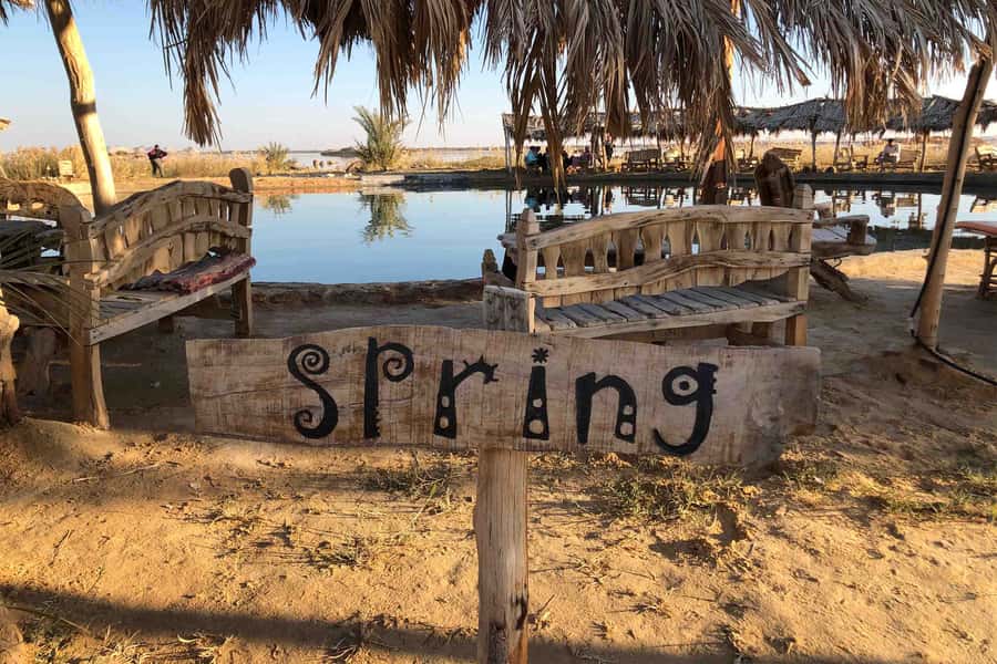 Cairo: 3-Day Siwa Oasis Tour, Safari, Camp & Historical Site - Where you sleep: Oasis Lodge vs one night in the desert camp