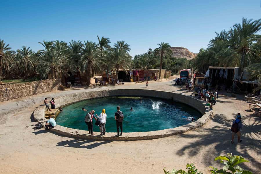 Cairo: 3-Day Siwa Oasis Tour, Safari, Camp & Historical Site - Day 1 in practice: El Alamein, then swimming and sunset in Siwa