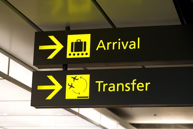 Cairo Airport Private Arrival Transfer - Key Highlights You Will Feel the Moment You Land