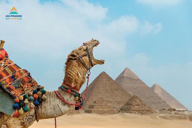 Cairo and Nile Cruise Tour - Key things to know before you go