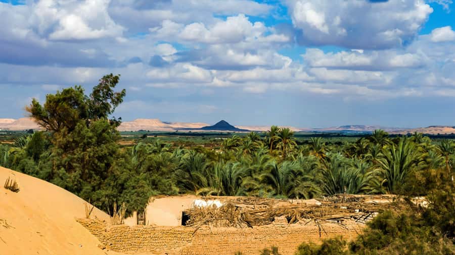 Cairo: Bahariya Oasis & White Desert 3-Day Private Adventure - Your guide experience: languages, and how to get better answers