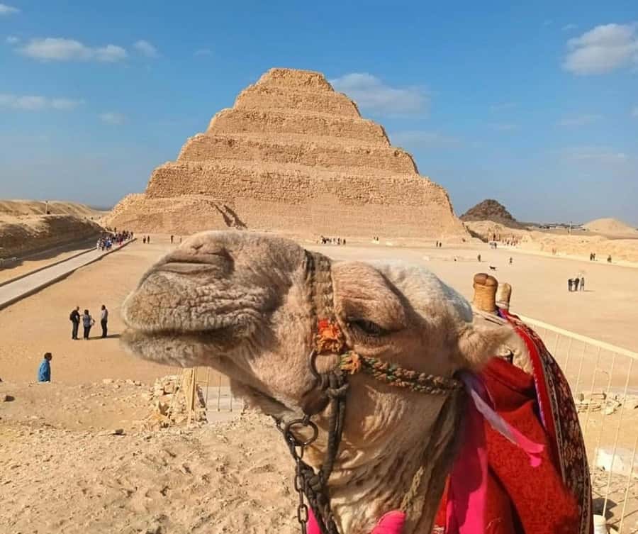 Cairo: Djoser, Bent Pyramid & Memphis Day Trip - Why Saqqara, Memphis, and Dahshur fit together so well