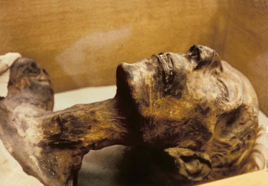 Cairo: Egyptian Museum 4-Hour Private Tour with Transfer - Tutankhamen’s Gold and Jewelry: The Headliner You’ll Understand Better